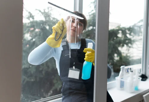 Nettoyage de vitres intérieures et extérieures à Baccon